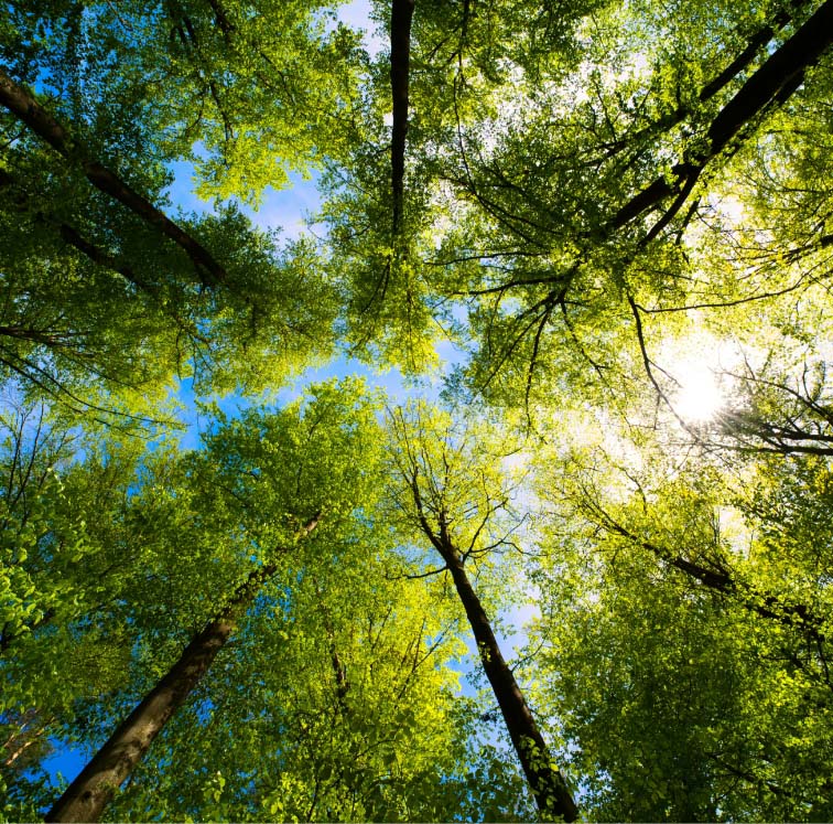 Logic Fire & Safety environmental responsibility